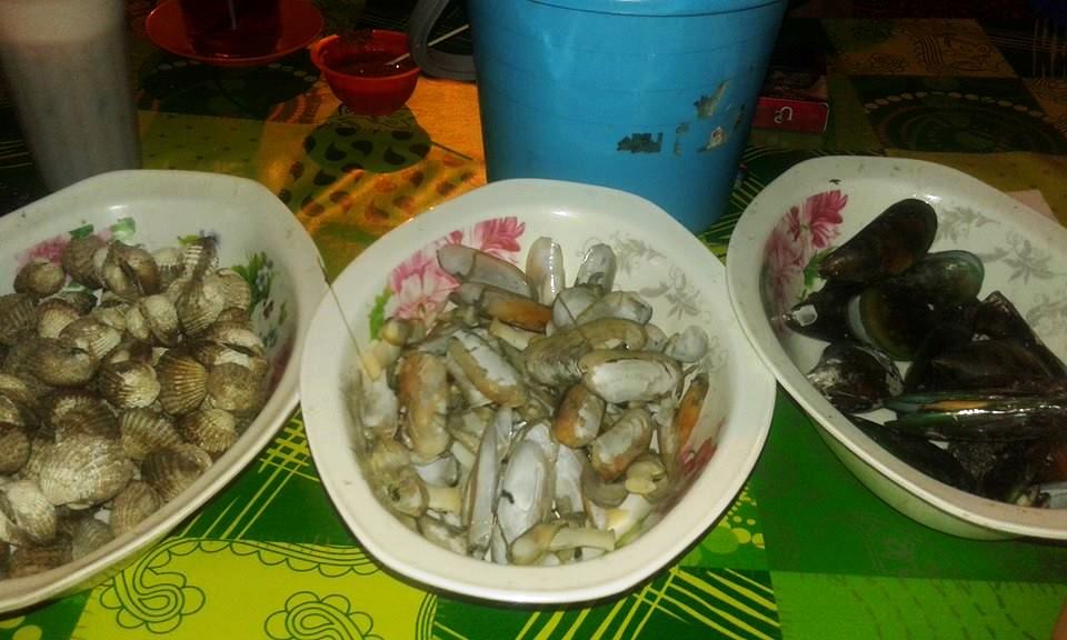 18835729 437323073308122 4585427947511339163 n