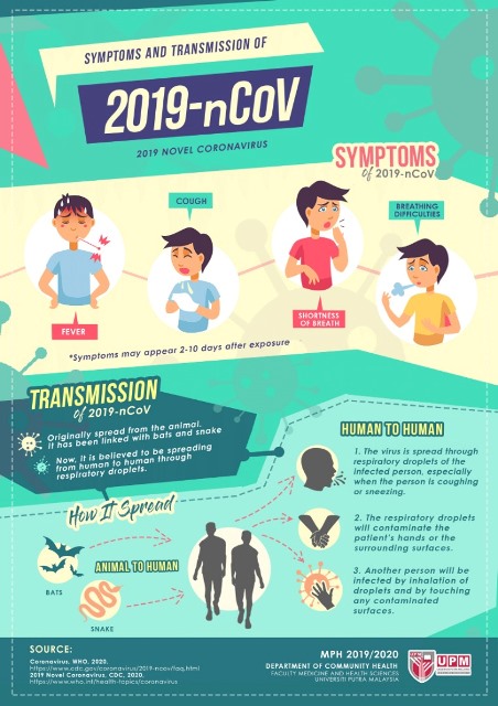 83354033 2541718026099259 7631492685479542784 o