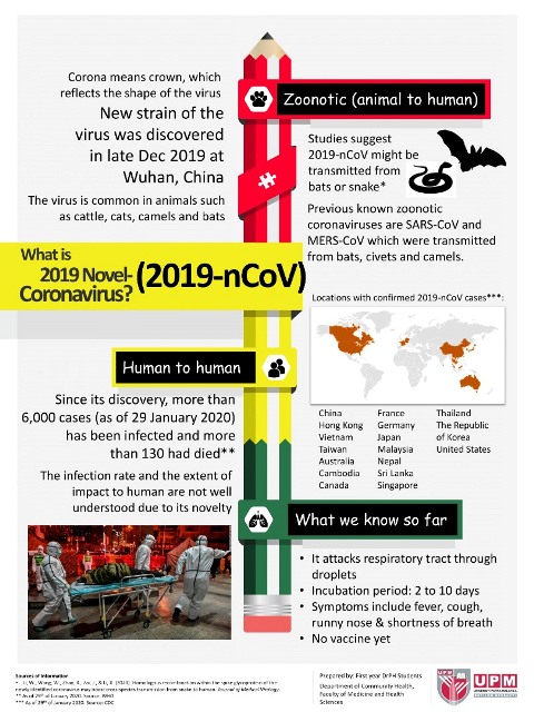 83466506 2541717859432609 2651524152111923200 o