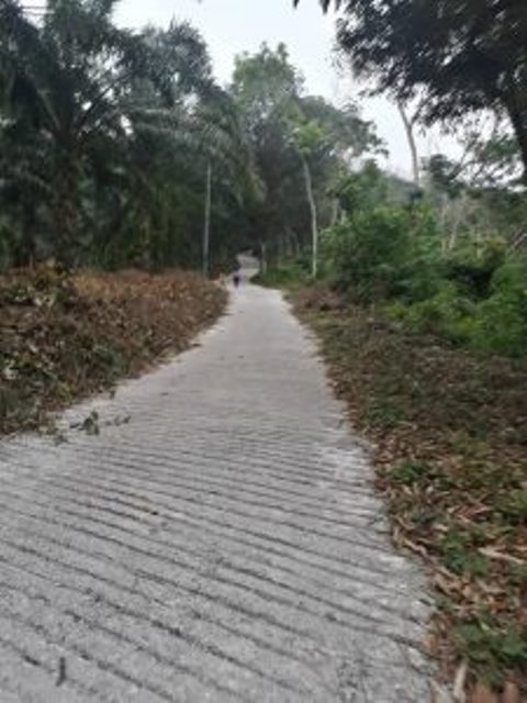 bukit limau2