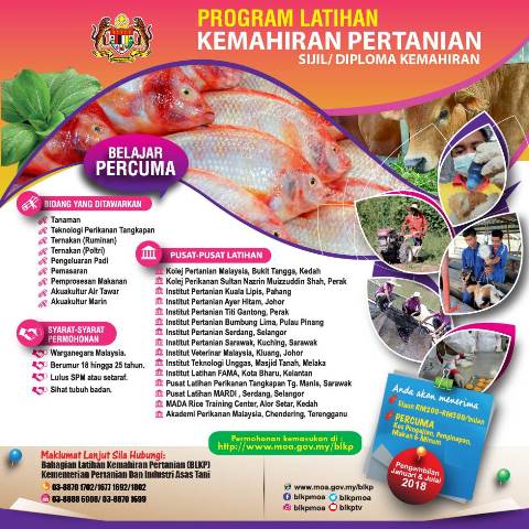 WhatsApp Image 2018-03-06 at 1.26.05 PM